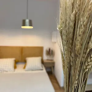  Appartement 4m